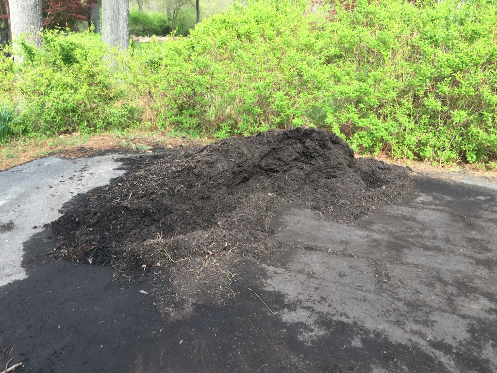 A person walking down a dirt road Description automatically generated